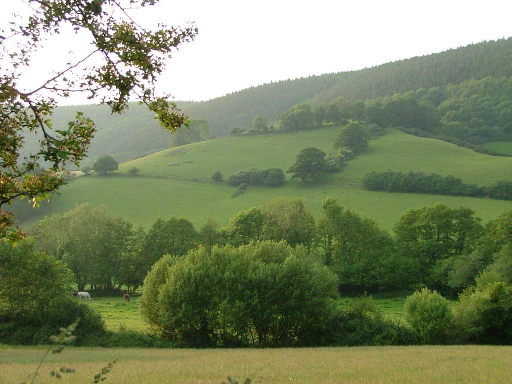 Bed and Breakfast The Old House Nether Stowey Экстерьер фото